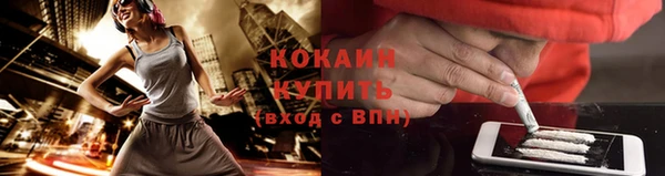 сатива Протвино