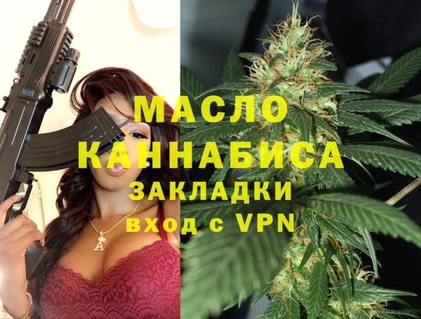 амф Заречный