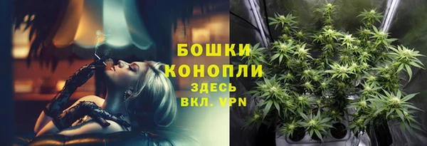 каннабис Покачи