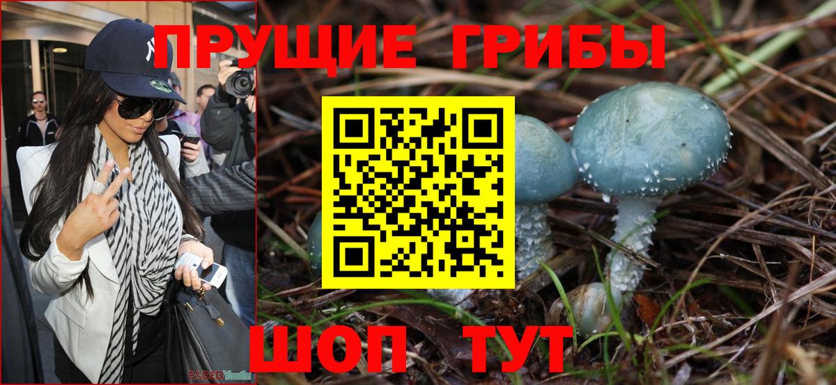 Галлюциногенные грибы Psilocybe Советск