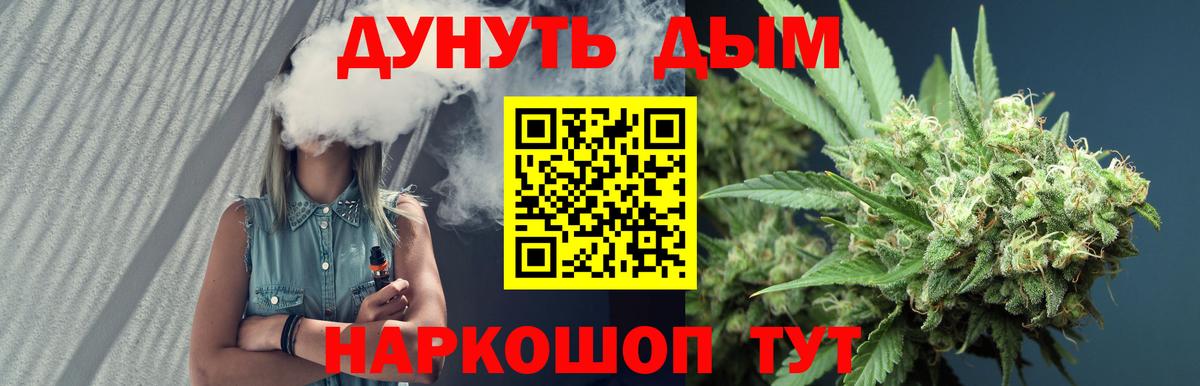 Конопля планчик  Канабис план  Советск  МАРИХУАНА гибрид  Вход с VPN 